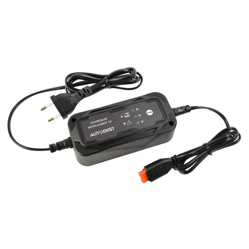 Chargeur de batterie moto - maintien de charge 6V / 12V - 3