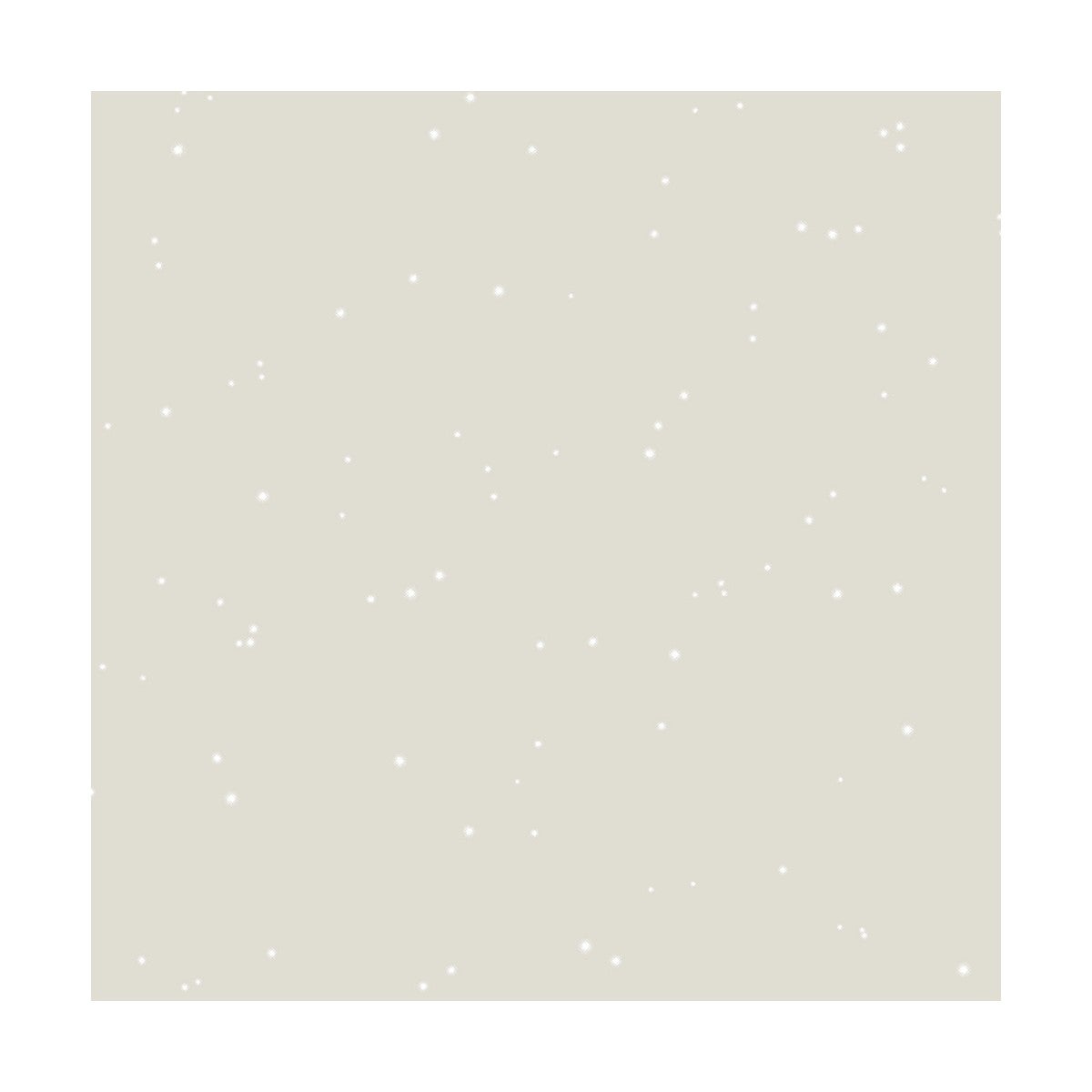 Pittura PAILLETT AVORIAZ 2L - ID PARIS - 2