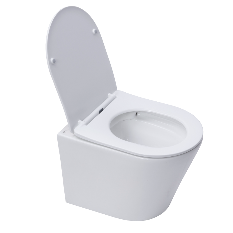 Grohe Pack WC Bati support autoportant + WC SAT sans bride + Abattant Soft close + Plaque chrome (Autoportant-Infinitio-1) - 3