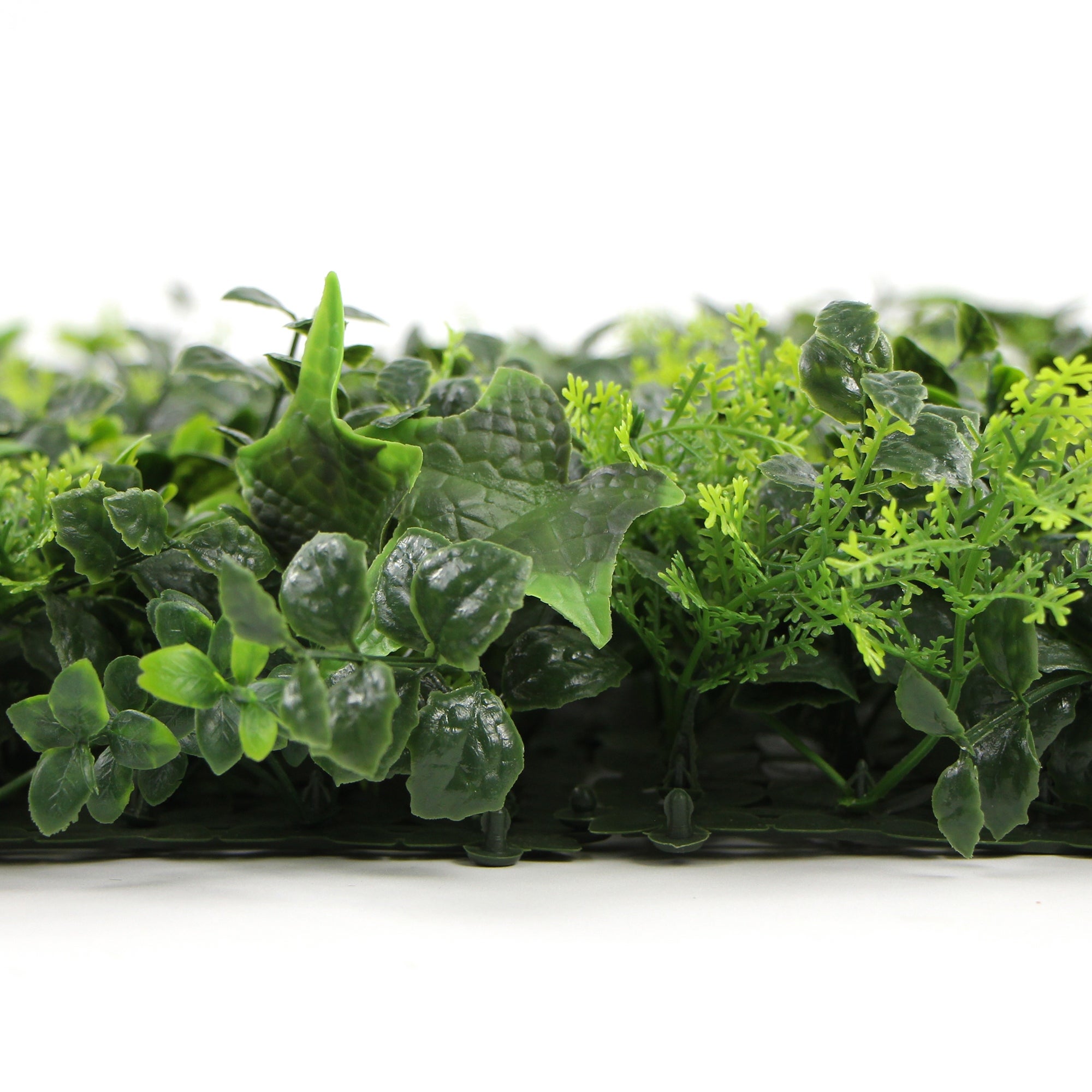 Antigua | FOLY - 50 x 50 cm - Parete verde verticale artificiale per interni e esteri - Imitazione edera - Garanzi UV 5 anni - JIVANA - 2