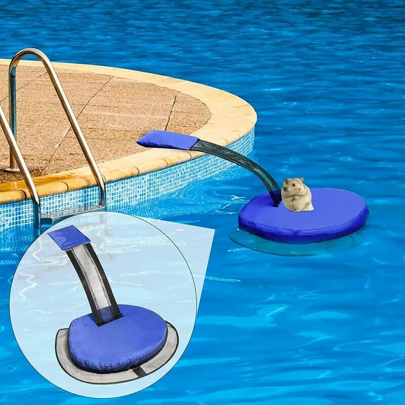 Lot De 2 Rampes D'évasion Pour Animaux De Compagnie, Pour Piscine