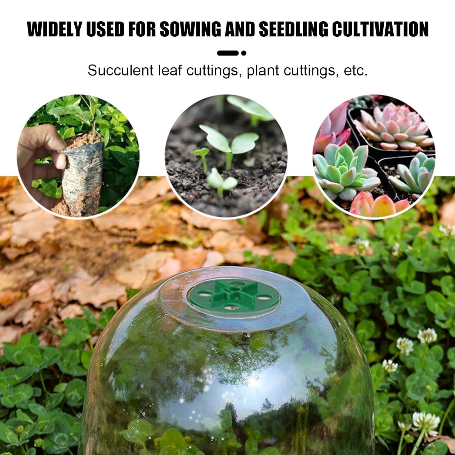 Generisch Lot de 10 Cloches de Jardin Transparentes réglables pour protéger Les Contre Les escargots et Les Oiseaux - 4