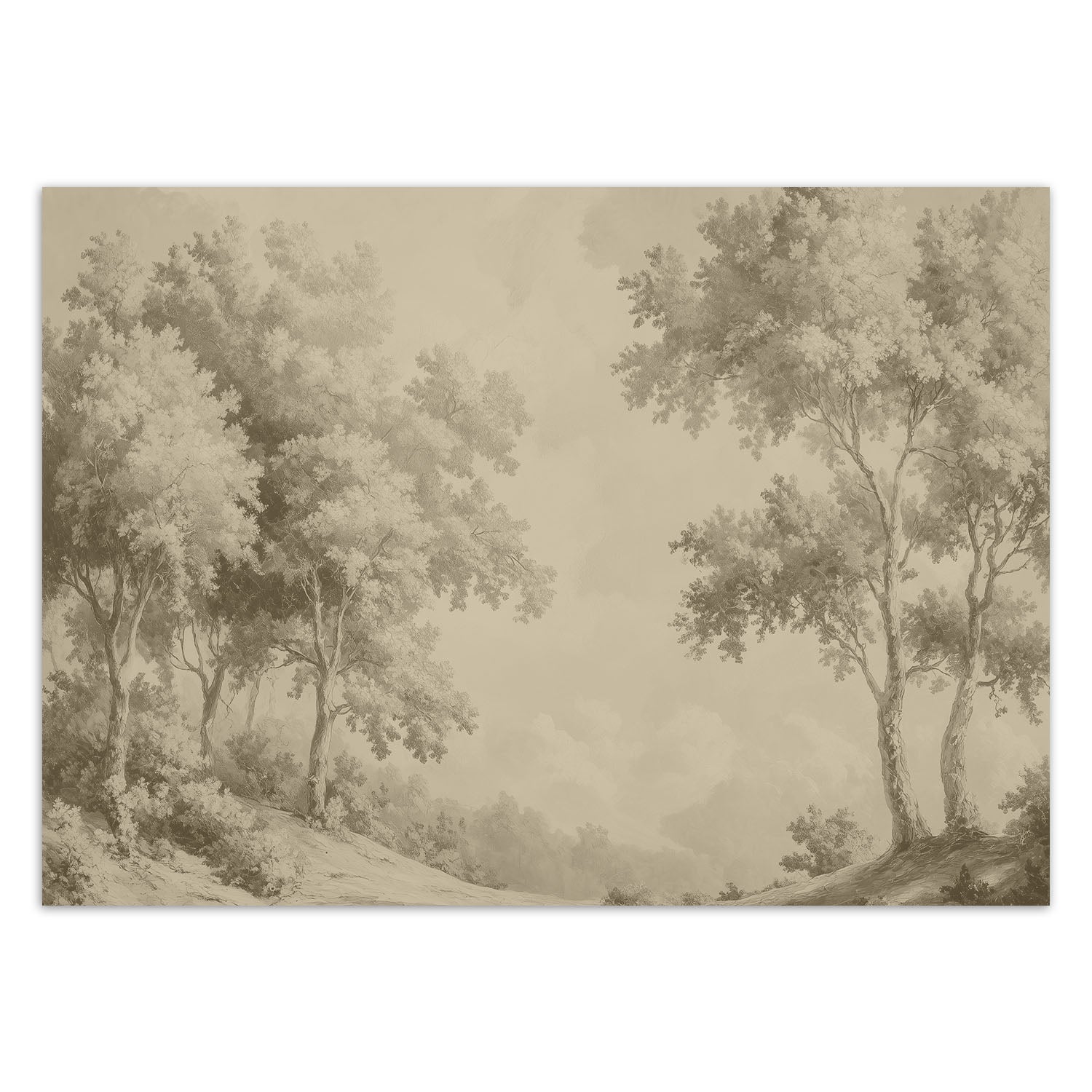 Fototapeta, Las drzewa natura 250x175