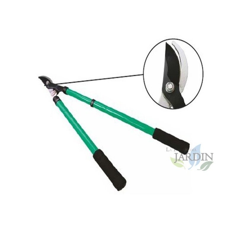 Sécateur VICASKY Pour Arbres Fruitiers - Ergonomique, Léger Et Hyper Efficace Pour Jardiner Sans Effort - 8