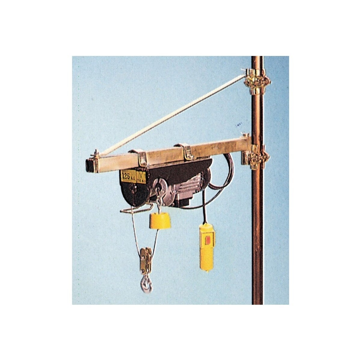 Paranco Elettrico 125 Kg - Tiratutto Con Motore 450W | Cavo Acciaio | Per Sollevamento Sicuro