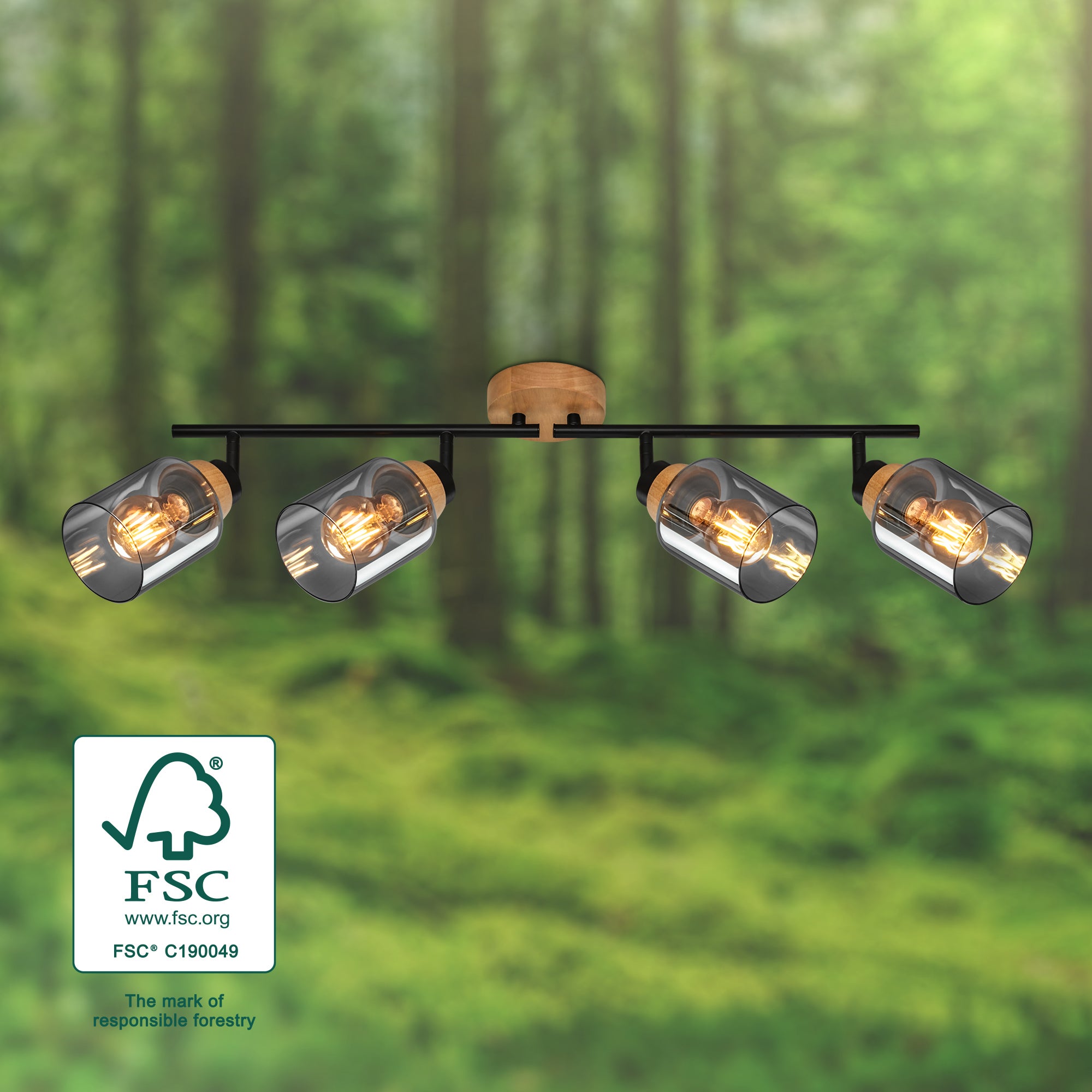 BRILONER - Faretto - HEMA - Orientabile, Attacco E27, Vetro fumè, Sorgente luminosa non inclusa - 3