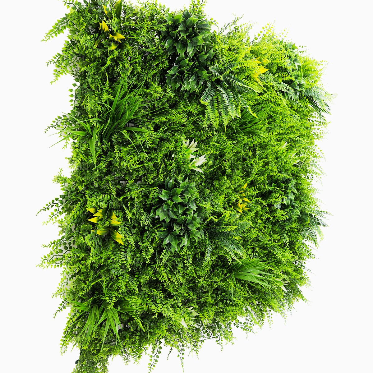 LOT de 5M² Mur Vegetal Artificiel Fougère Dense MGS décoration murale - 10