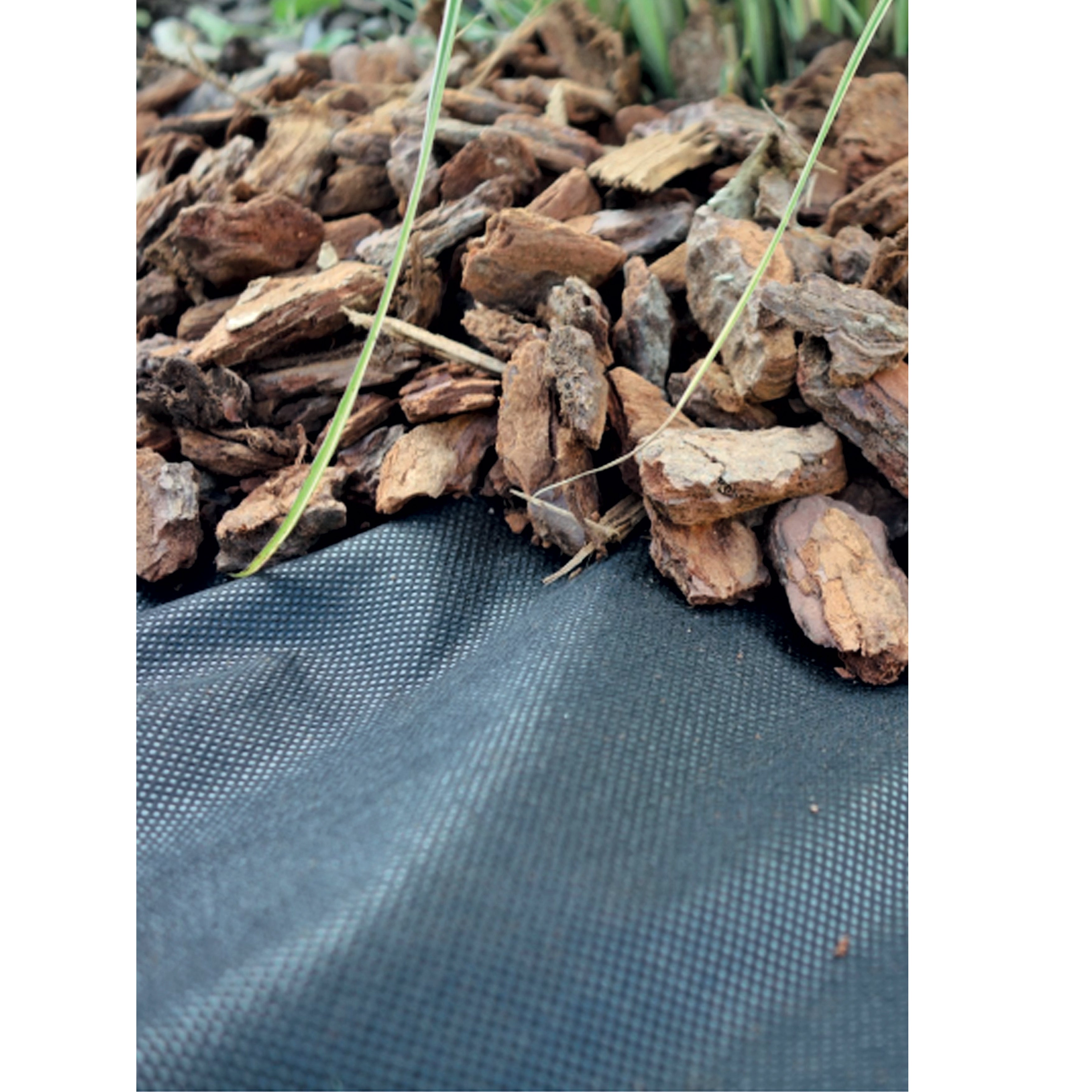 Toile de paillage 100g/m2 WERKA PRO 1 x 5m - 2