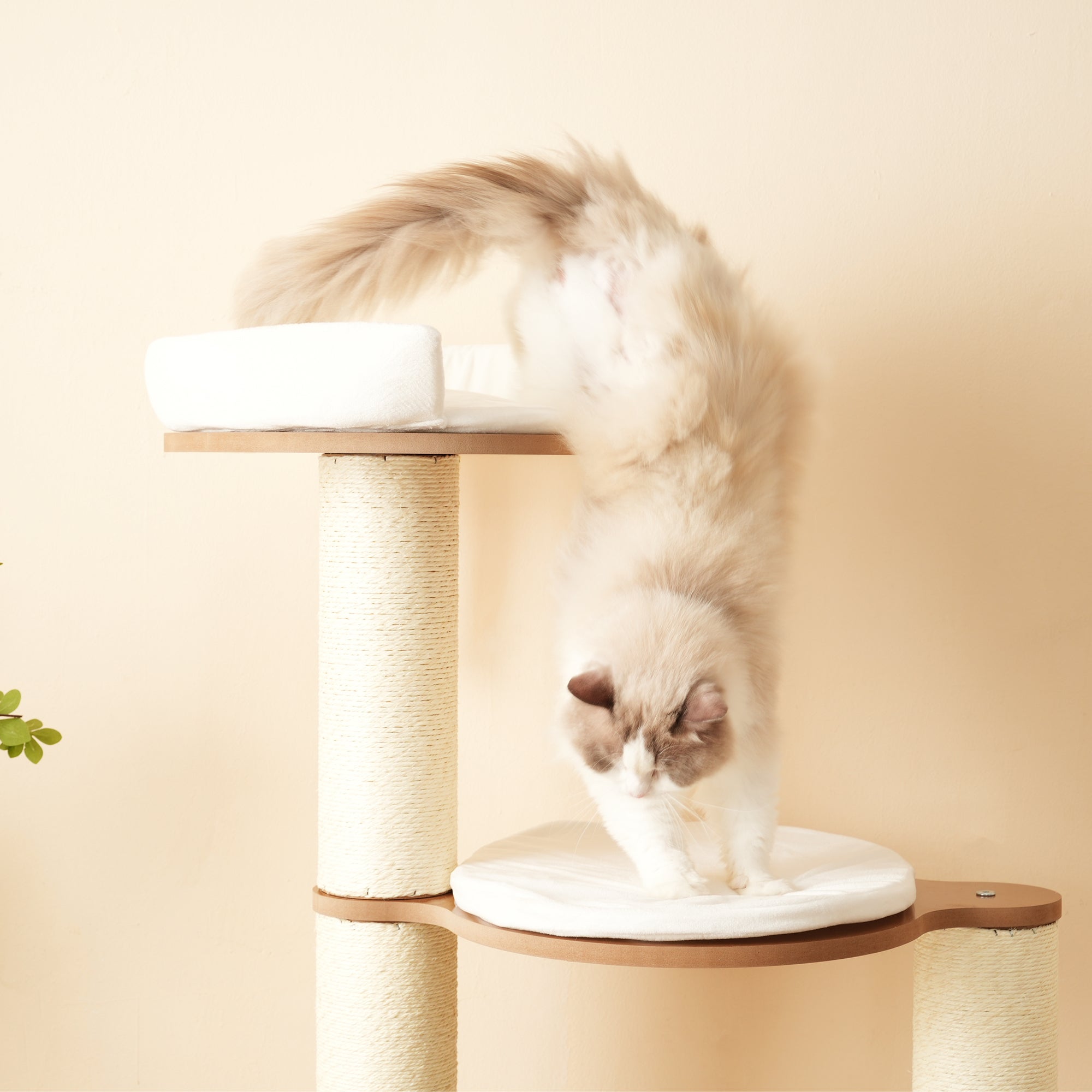 Arbre à chat avec 3 plateformes, 1 niche et coussins - 60 x 48 x 135 cm - Cadre en MDF - Marron - 5