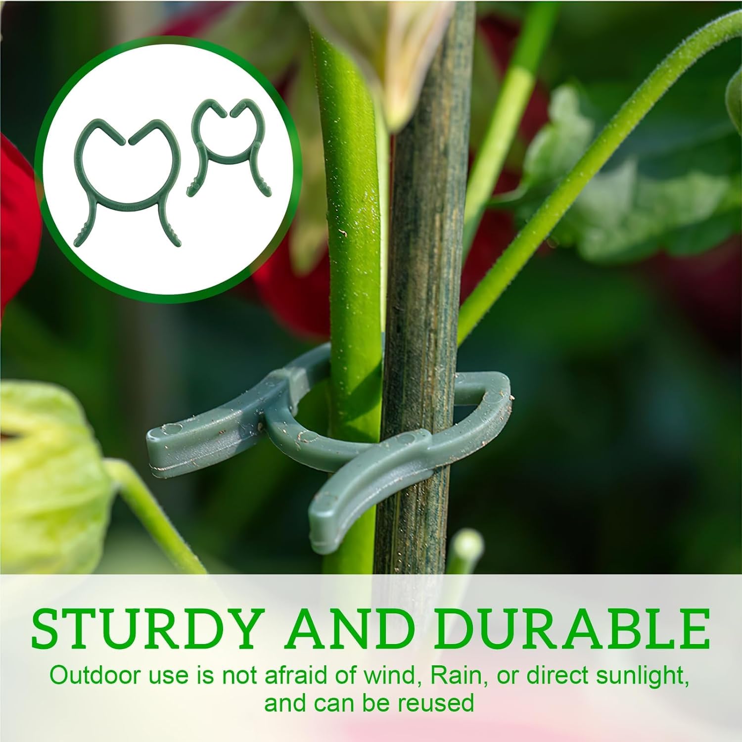 200 Pièces Clips de Support pour Plantes,Attache pour Tomates,Attache pour Plantes Grimpantes, Clips de Fixation Robustes -Tailles M+L - 4