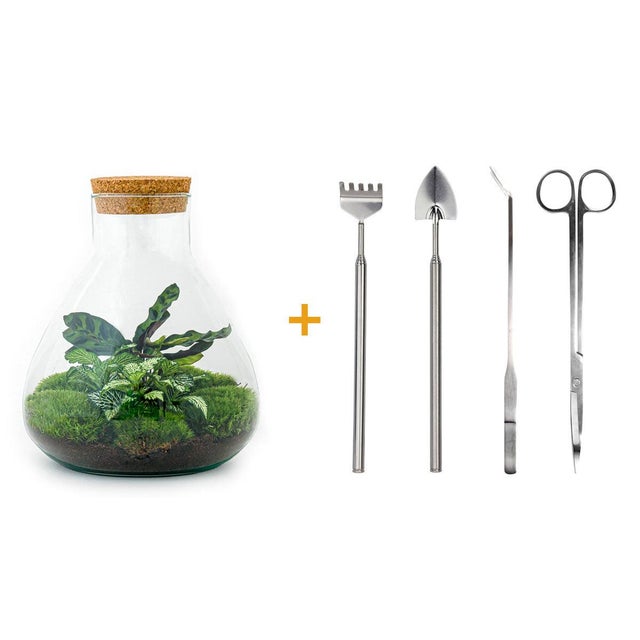 DIY Terrário Sammie - Mini-Ecossistema Autossuficiente Ø22,5×27 cm