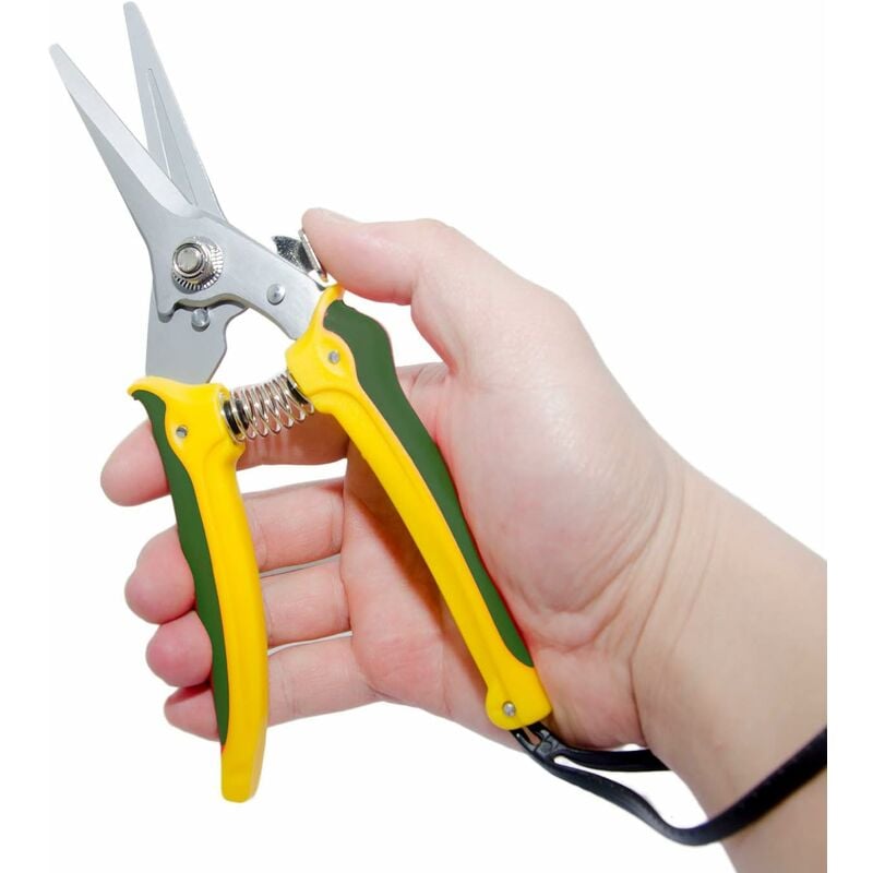 Cisaille Sabot Professionnelle Anti-Glisse Mouton Chèvre Cheval - Lames SK5 6,4 Cm - Parage Précis & Sans Fatigue