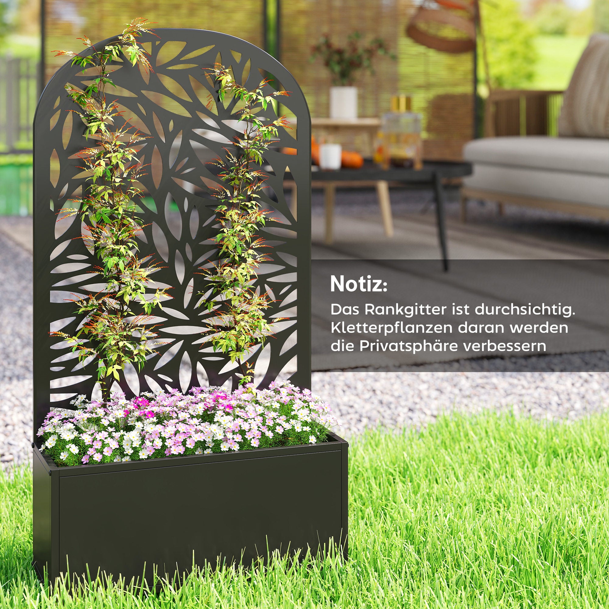 Jardinière surélevée en métal avec treillis, à fixer au mur ou à poser, avec brise-vue. - 9