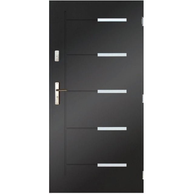 Porte D'entrée Acier Anthracite 99x215 – 7 Points De Fermeture – Neuve