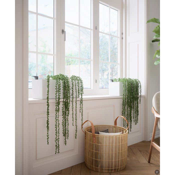 Jardinière auto-arrosante en polypropylène Rimini gris / argent 51x20x20 cm - 8