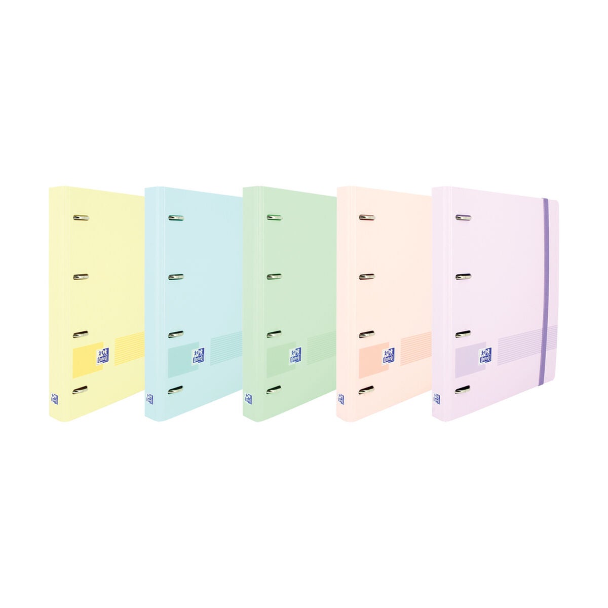 Miquelrius Carpeblock A4 Polyfoam 4 Anneaux 35mm - 100 Feuilles + Intercalaires + Enveloppe, Fermeture Caoutchouc Mint Flower