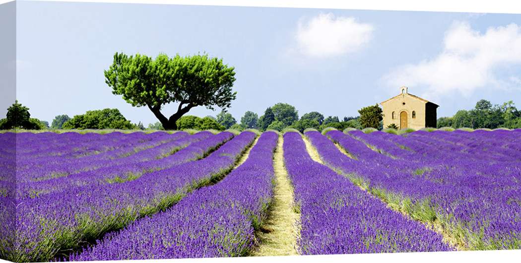 Porte-carte en cuir bruni - Marron | 3 SUISSES Porte-carte en cuir bruni - Marron | 3 SUISSES