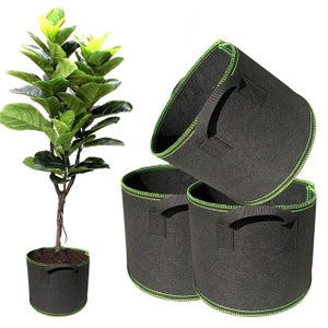 CONTENITORE IDROPONICO FIORIERA Trasparente Vaso Per Piante Grasse Di Pianta EUR 11,99 - PicClick IT