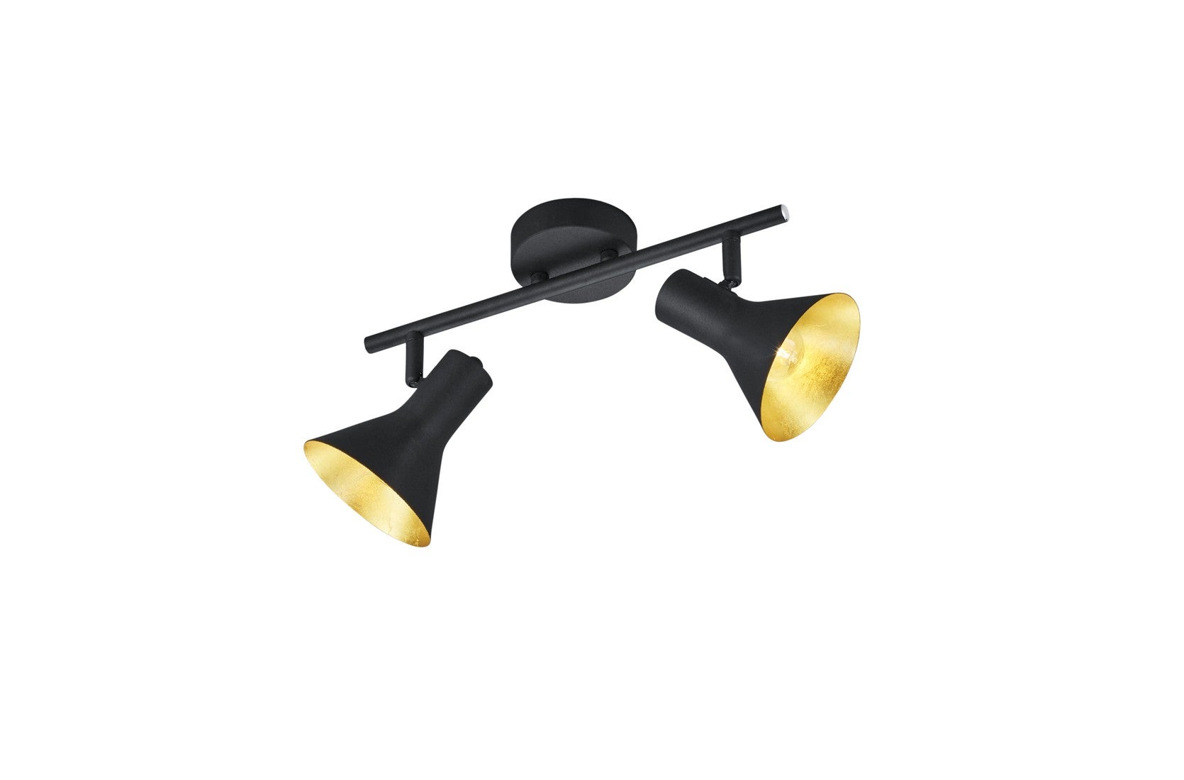Nina 2-Light Designerska lampa sufitowa