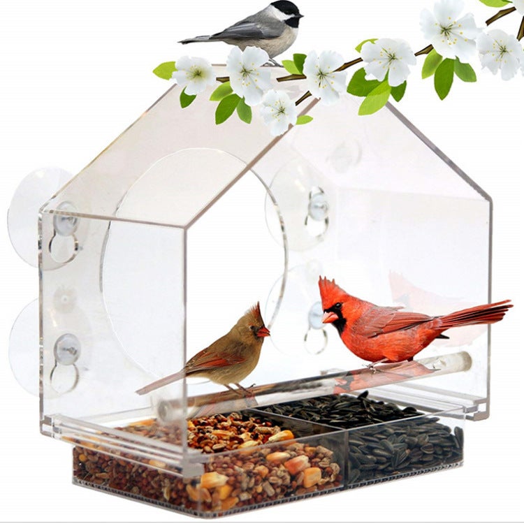 Alimentador de pássaros com 5 ventosas ultrarresistentes, design para uso externo, ideal para observar a vida selvagem no jardim. - 6