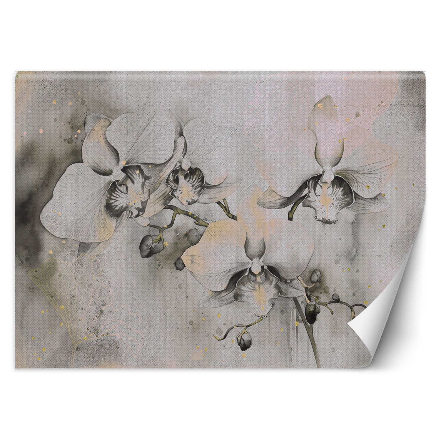 Fototapeta, Kwitnące orchidee abstrakcja 200x140
