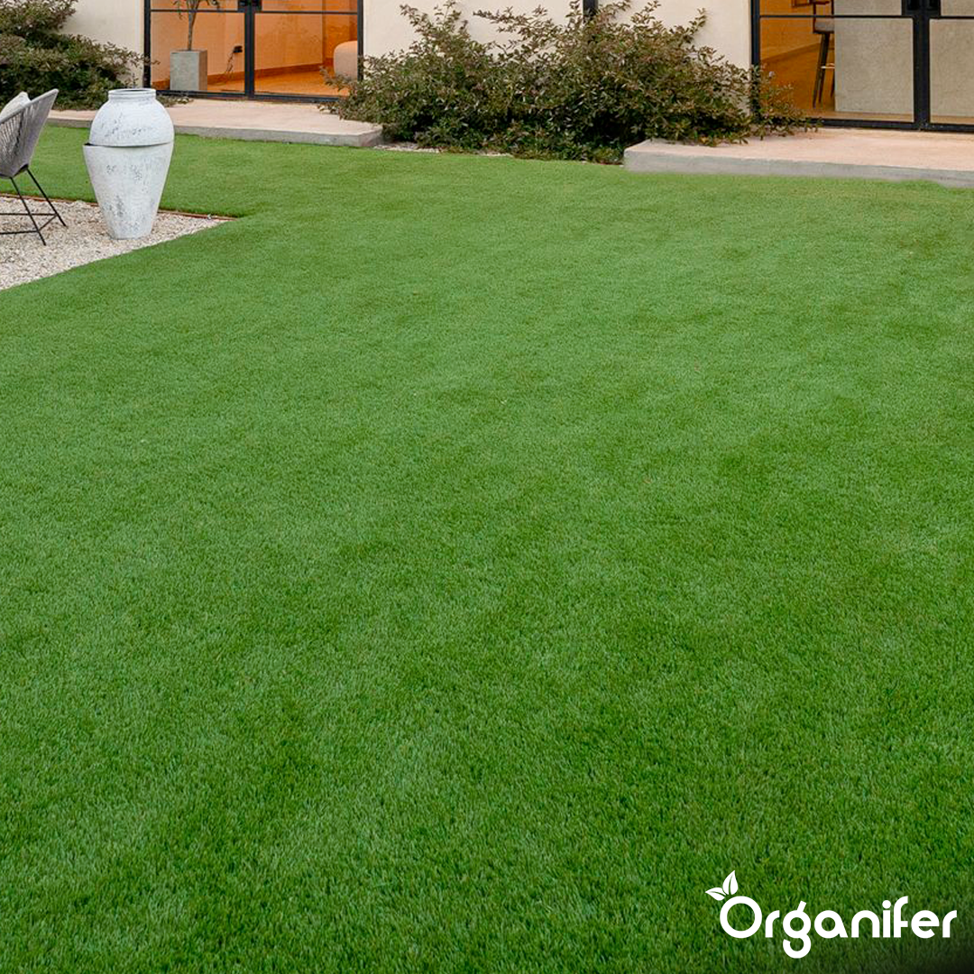 Gazon Résistant à la Sécheresse - Arida (10 kg pour 500 m²) - Organifer - 8