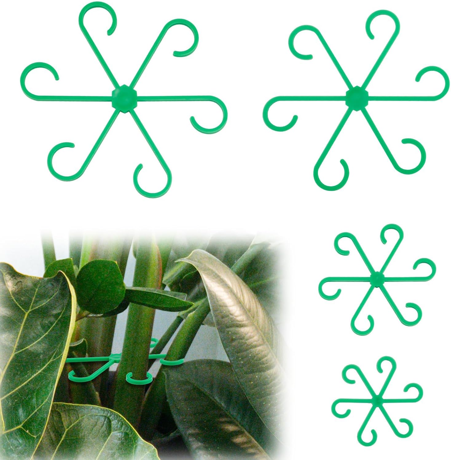 Lot De 4 Supports R utilisables Pour Plantes Grimpantes Pour Plantes lot-de-4-supports-r-utilisables-pour-plantes-grimpantes-pour-plantes