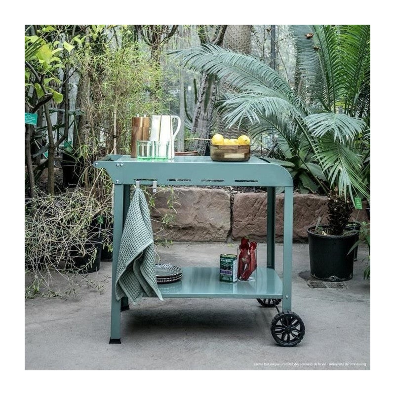 Desserte pour plancha - LIVOO - GS168V - Vert / Noir - 6