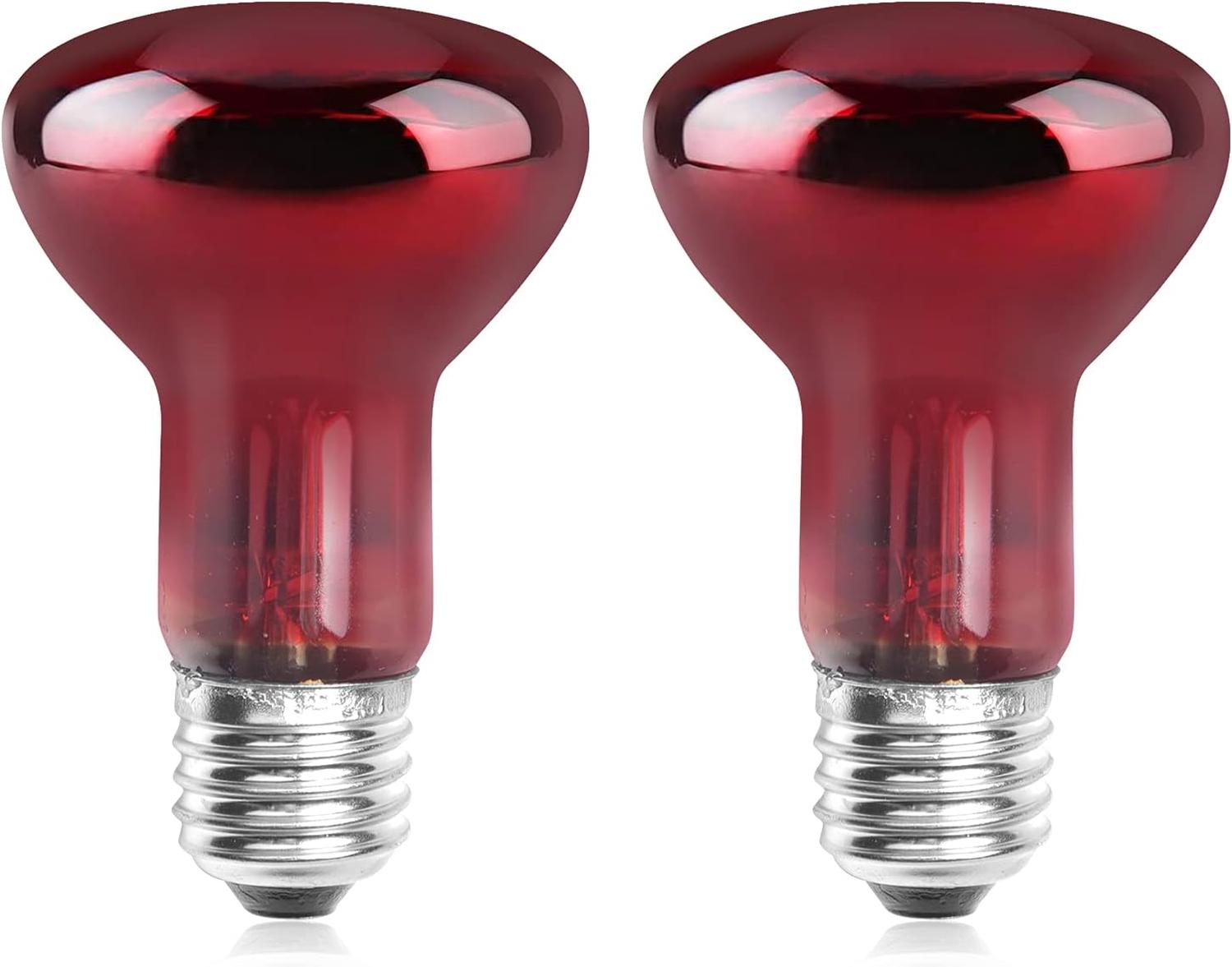 Lot De 6 Ampoules Chauffantes Pour Tortues 50W X 6 Lampes UVA UVB RéCipient En Verre Lampe