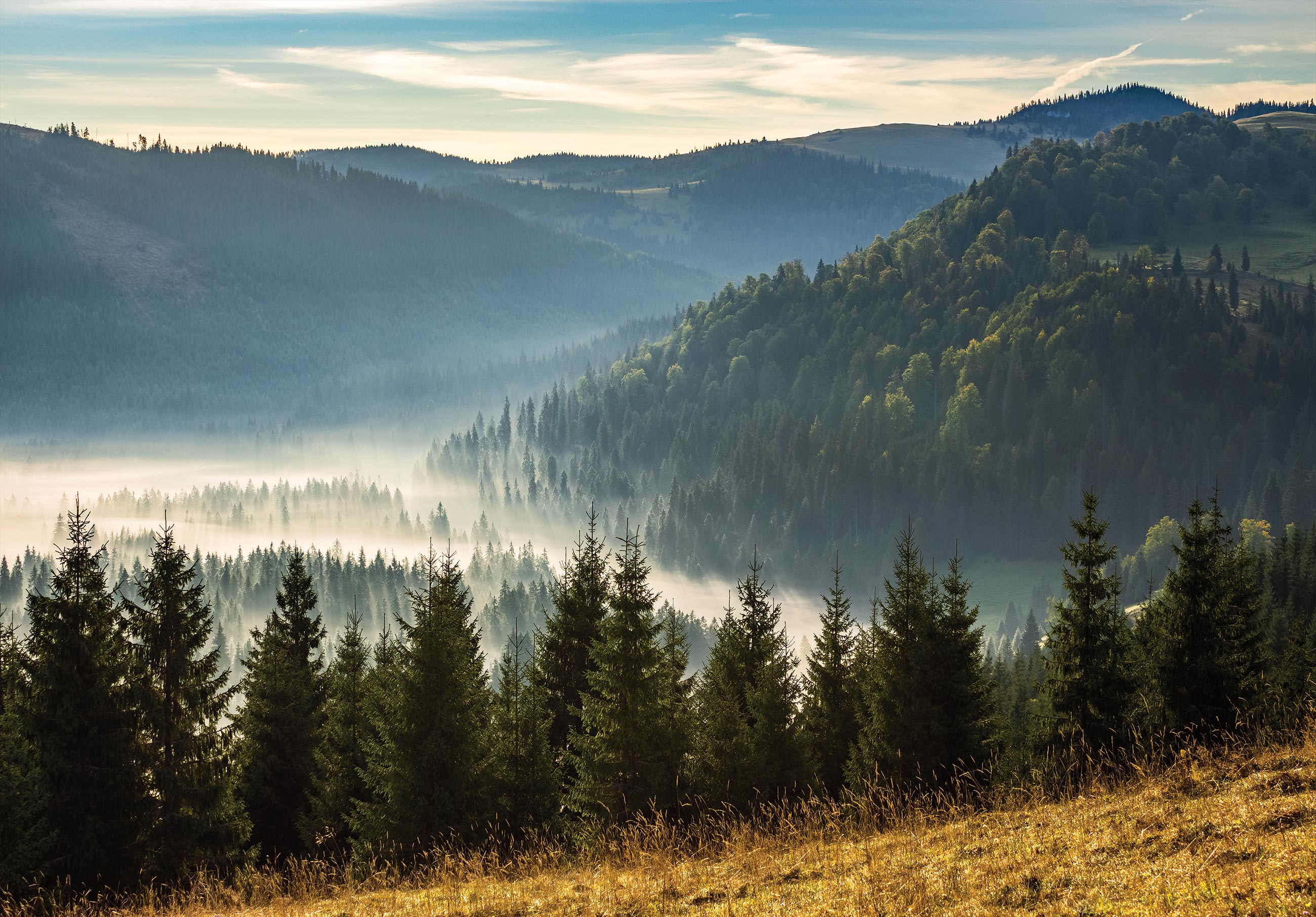 Fototapet munti padure peisaj natura Vlies Tapet Pentru Dormitor Camera Living Perete 368x254 cm