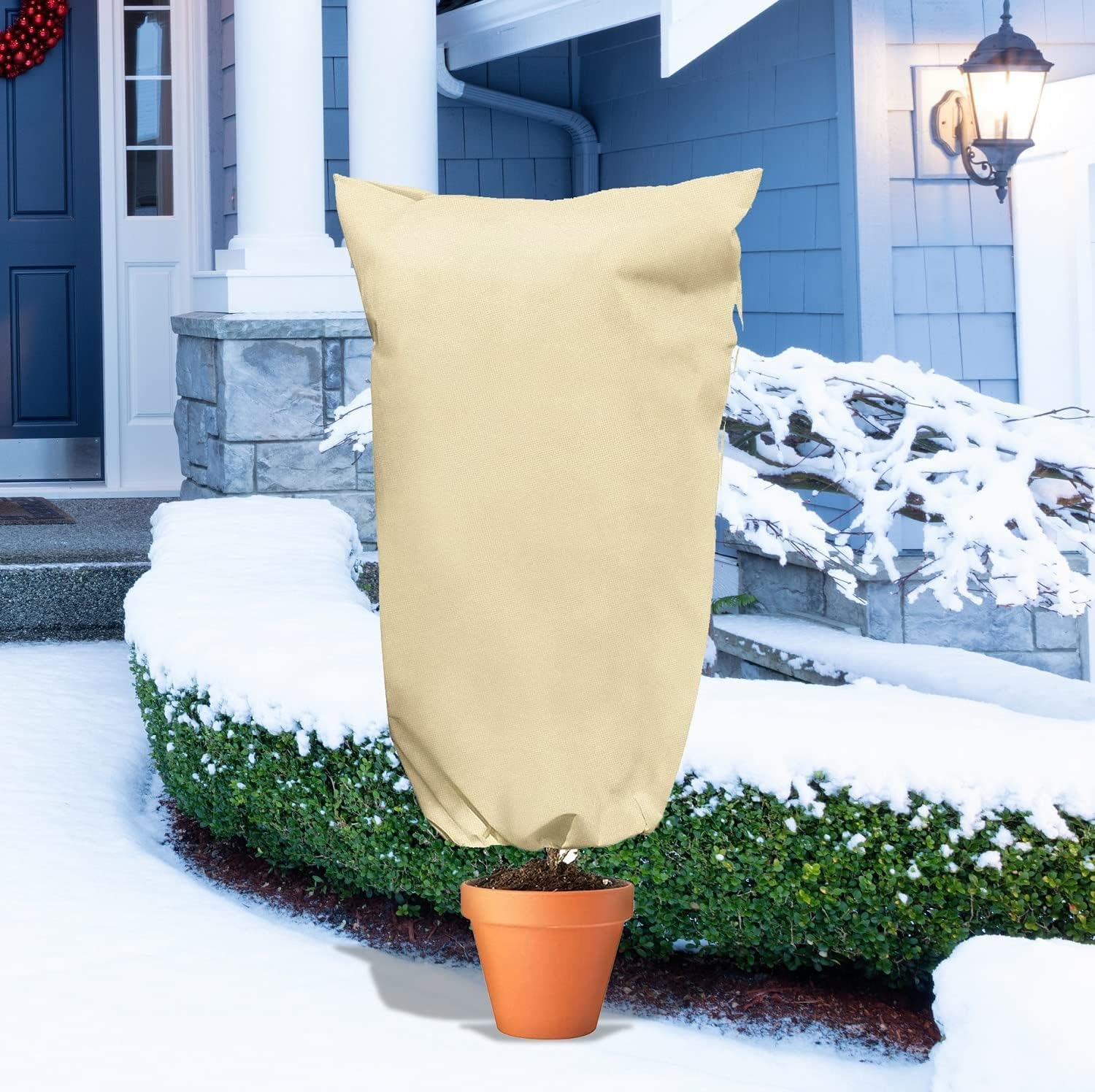 Voile d'hivernage Plante Housses Protection Beige 80g/m² 100 cm x 120 cm avec Fermeture éclair pour Plantes Palmiers en Pot d'olivier Résistant aux Dé - 5