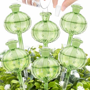 8 Sfere Per Irrigazione Automatica Piante Haawooky - Globi In Vetro A Forma Di Fungo, Per Piante Da Interno/Esterno - 2