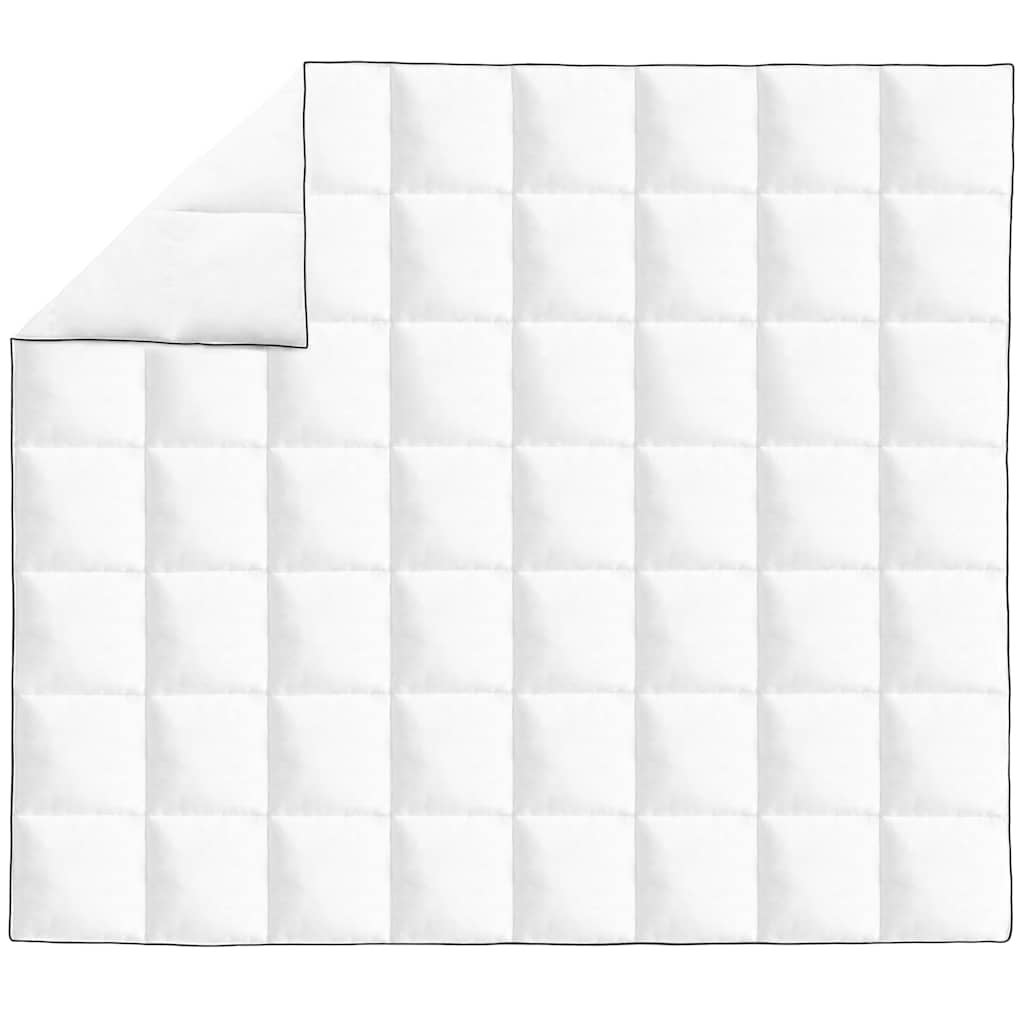 vidaXL Couette en duvet d'hiver 240 x 220 cm - 2