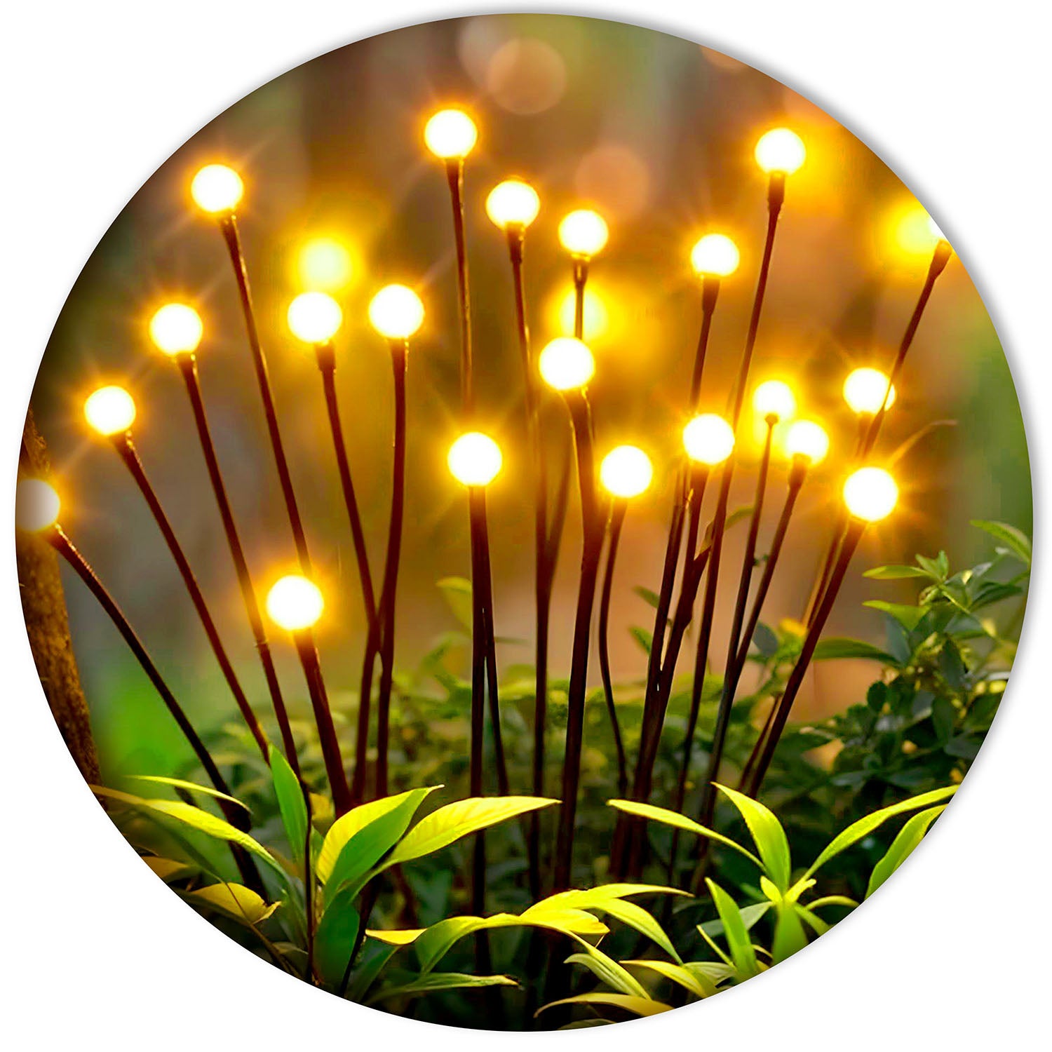 Lampe Solaire Ilumen LS-101 avec Lucioles - 2 Pièces - 8