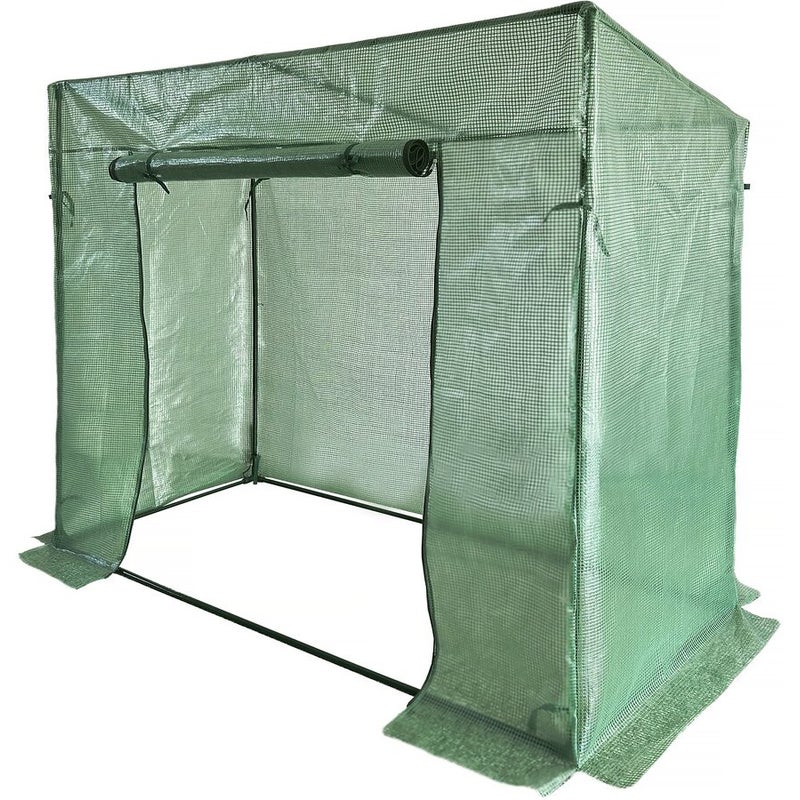 Pomidor ogrodowy "Lys" szklarniany - 1,6 m² - 130 g - zielony