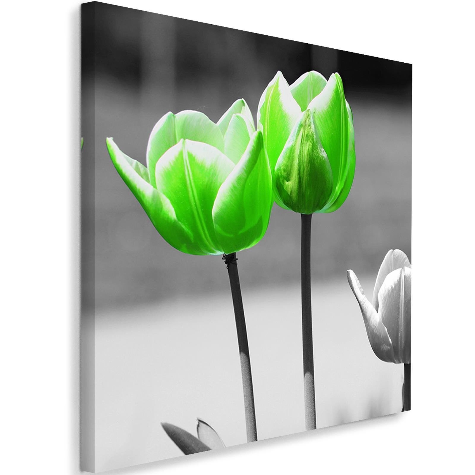 Obraz na płótnie, Zielone tulipany w szarości 50x50