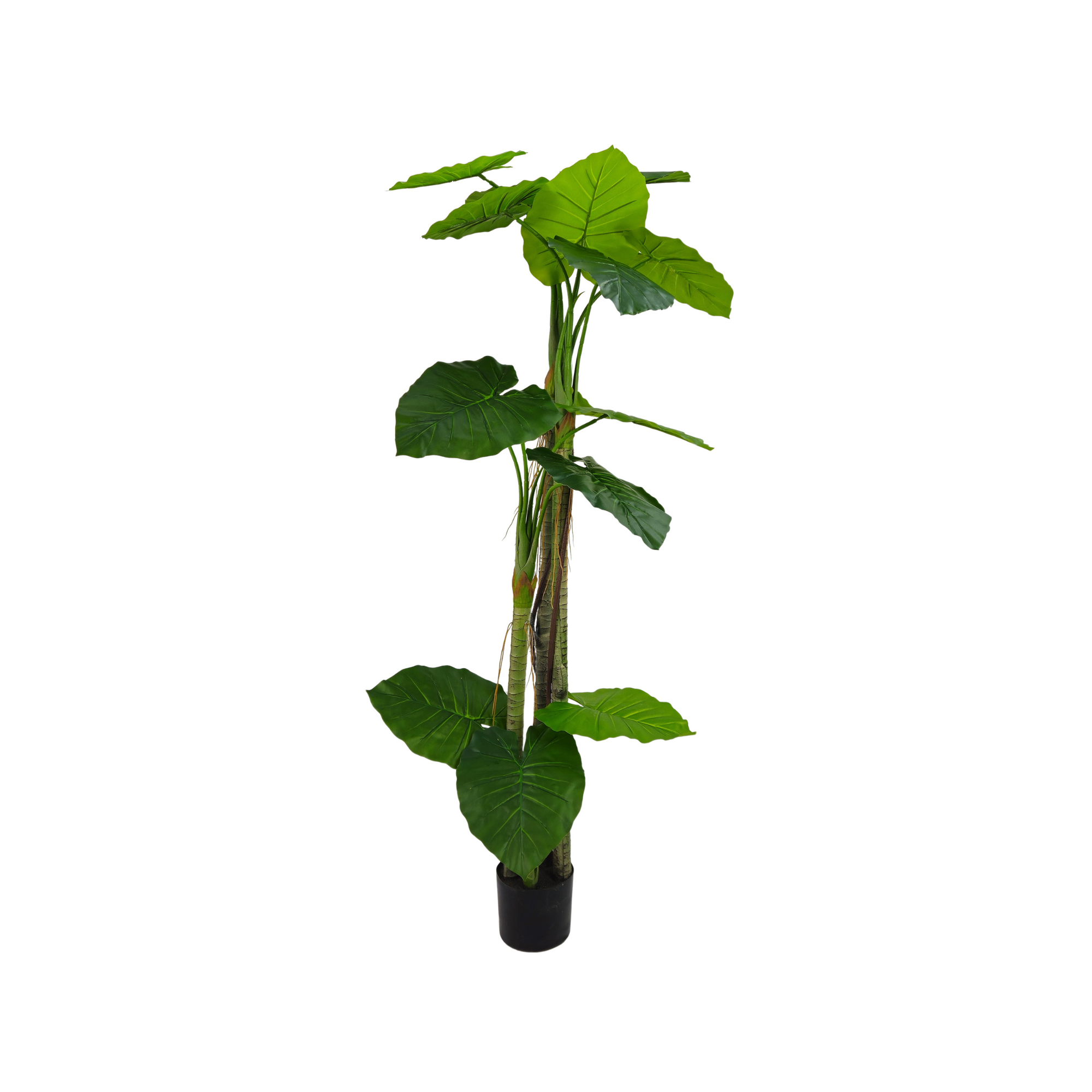 Tecnokit  Plantas Artificiales Interior Colocasia 170 Cm, Planta Artificial Alta, Plantas Artificiales Exterior Palmera Artificial Para Salón Negro , Leroy Merlin