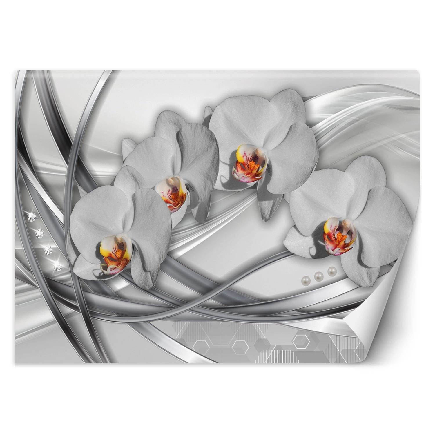 Fototapeta, Abstrakcja orchidea 400x280