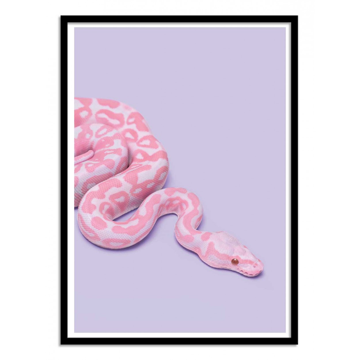 Art-poster - pink snake - paul fuentes - con marco negro 50 x 70 cm