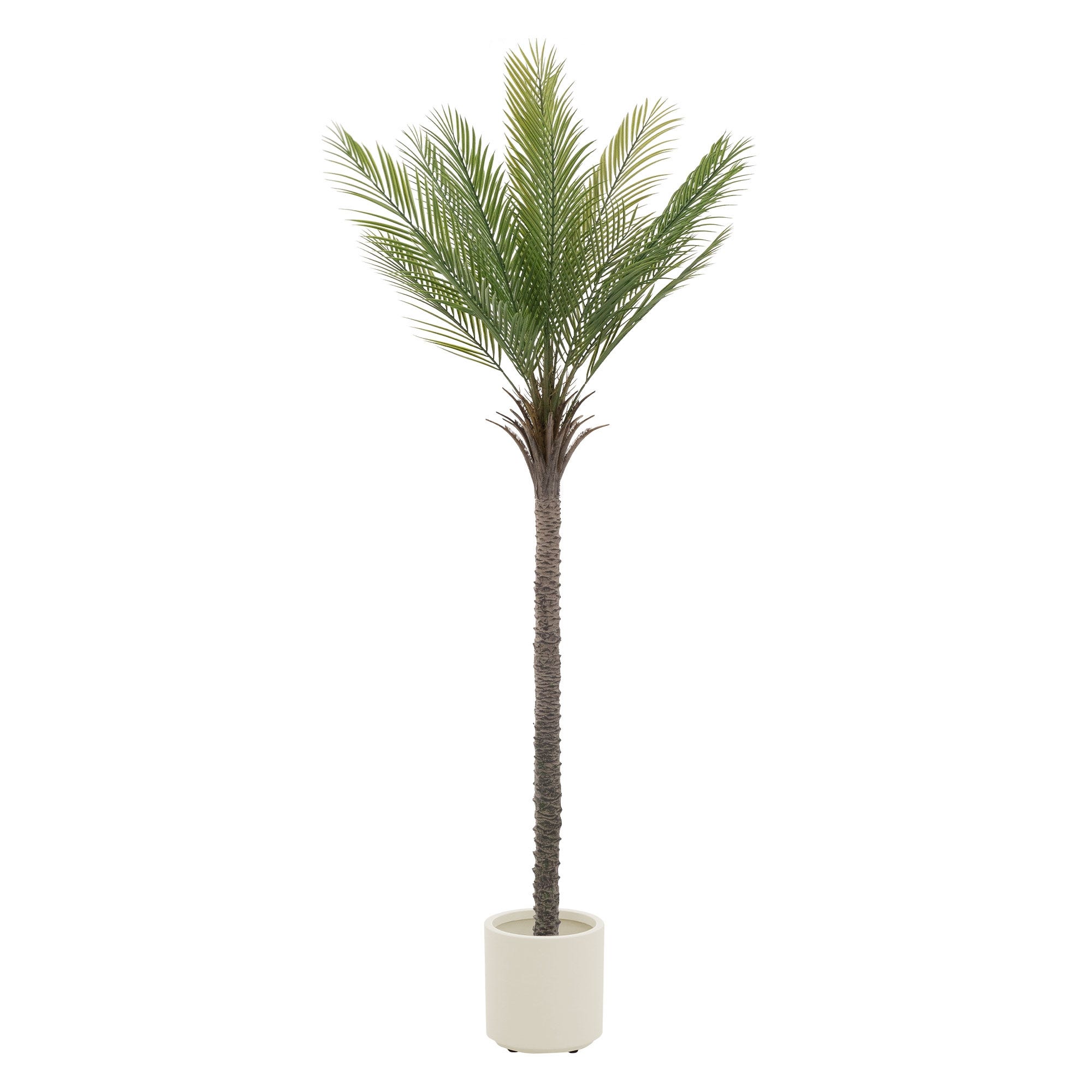 Palma Cycas Artificiale Con Vaso 90 Cm Verde - Decorazione Verde Realistica Per Casa E Ufficio Palma Cycas Artificiale Con Vaso 90 Cm Verde - Decorazione Verde Realistica Per Casa E Ufficio