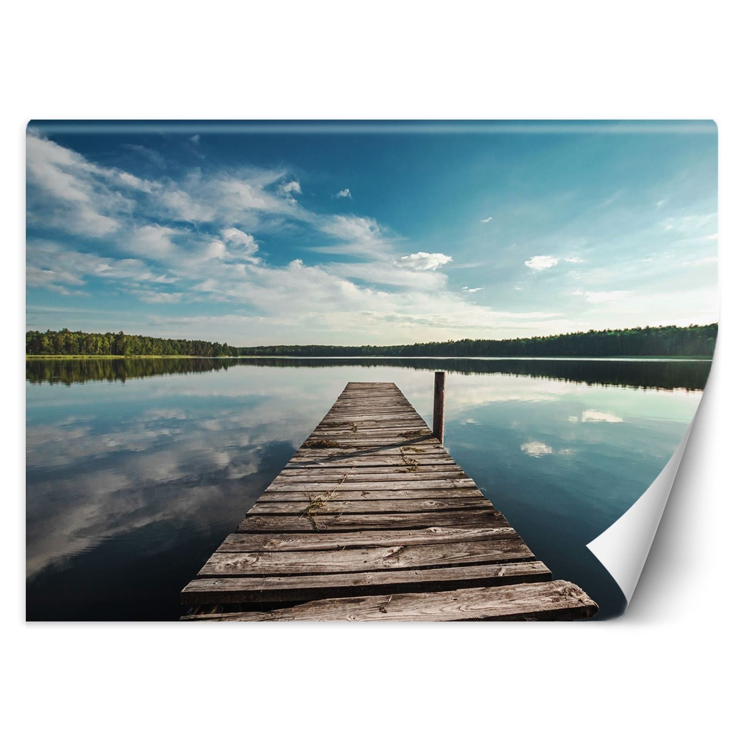Fototapeta, Widok z pomostu na jezioro i las 368x254