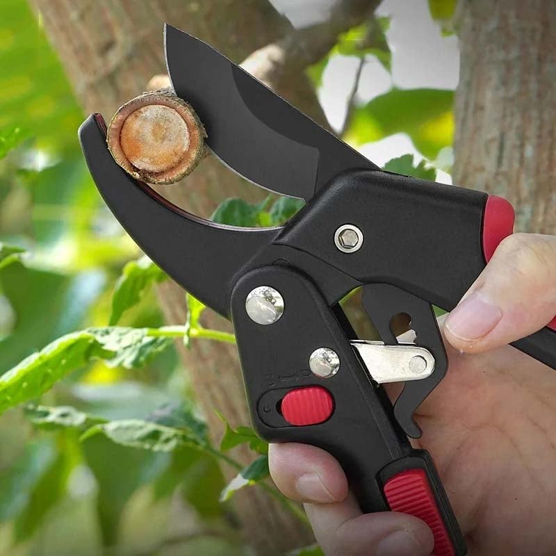 1pc Forbici da giardino SK5, taglio rami a cricchetto, lama affilata, strumento manuale per potatura alberi, giardinaggio e paesaggistica - 6