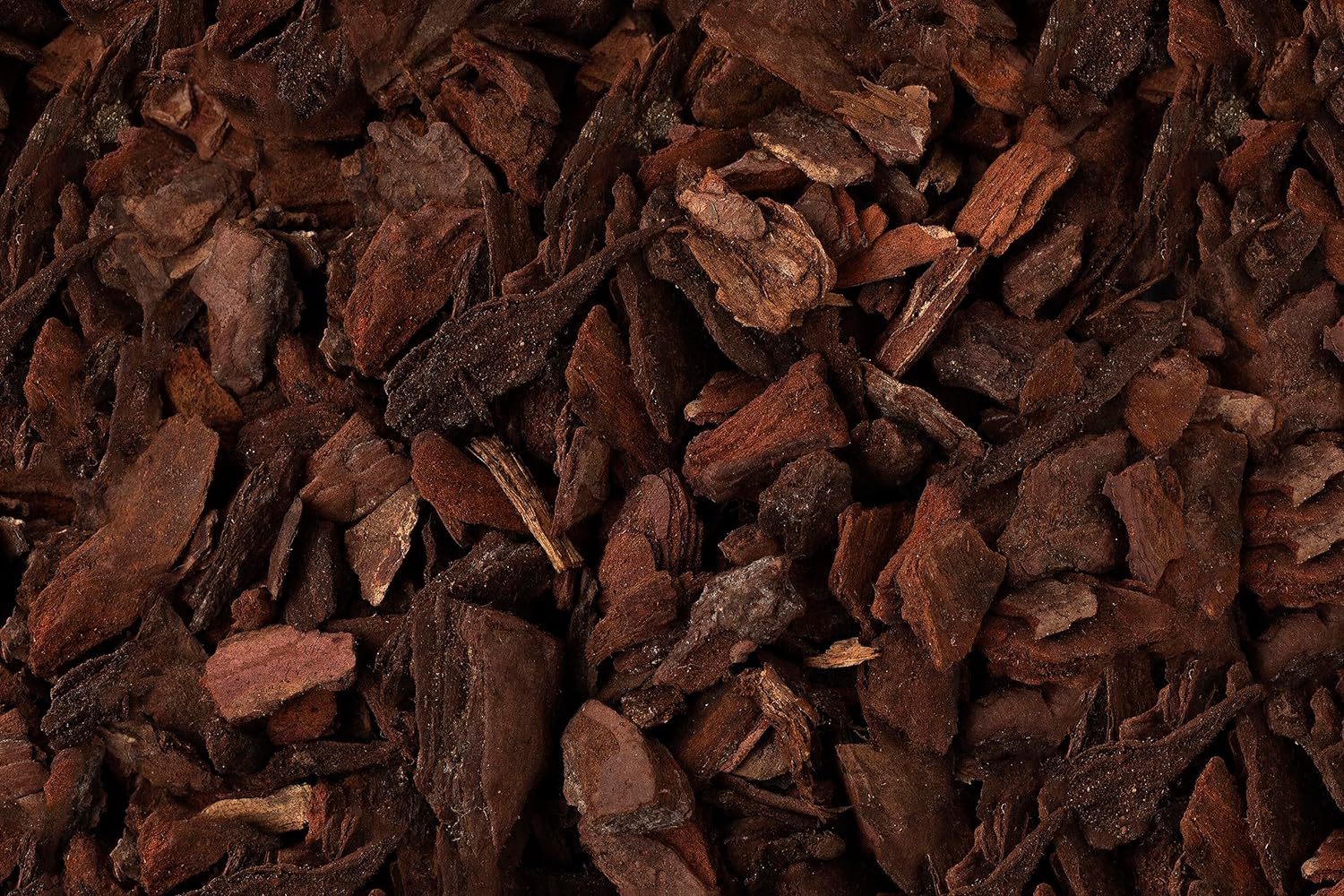 Corteccia Per Orchidee Naturale - Substrato Per Rinvaso E Coltivazione Orchidee (Confezione 1 Litro) - Foto 9