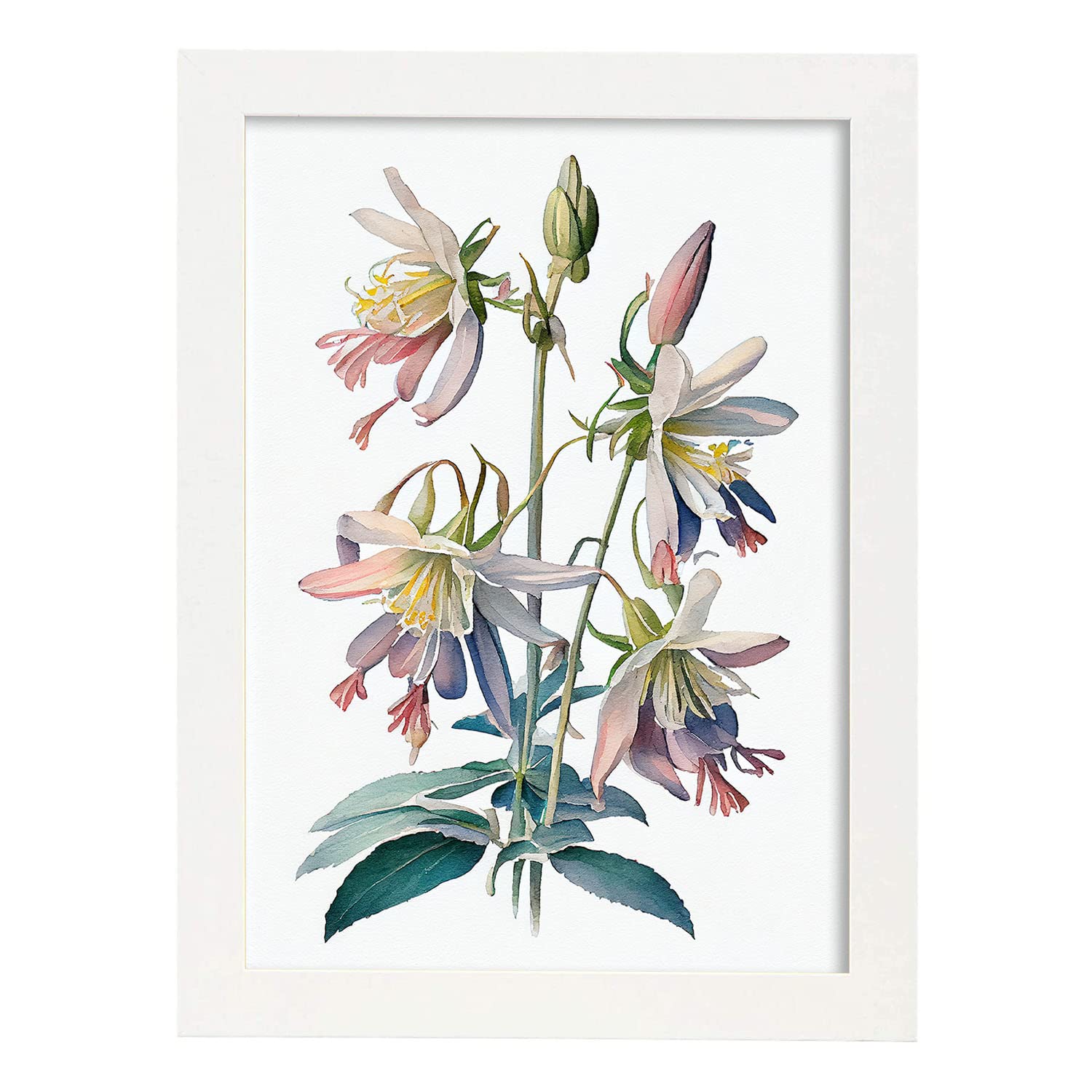 Nacnic poster de aquilegia estilo nórdico ilustraciones de botánica con flores y plantas en acuarela diseño moderno y modelo 2 a3 con marco blancos