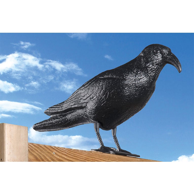 Épouvantail anti-oiseau en forme de corbeau 13x48x20cm - 5
