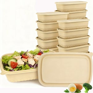 Rosenstein & Söhne set di lunchbox: Set di 42 scatole per alimenti con 3 scomparti e coperchi, 850 ml (contenitore per alimenti in plastica