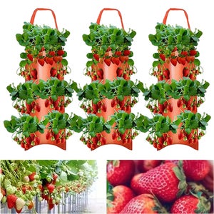 Supporti Per Fragole Da Giardino - 10 Pezzi, Verde, Anti-Marciume