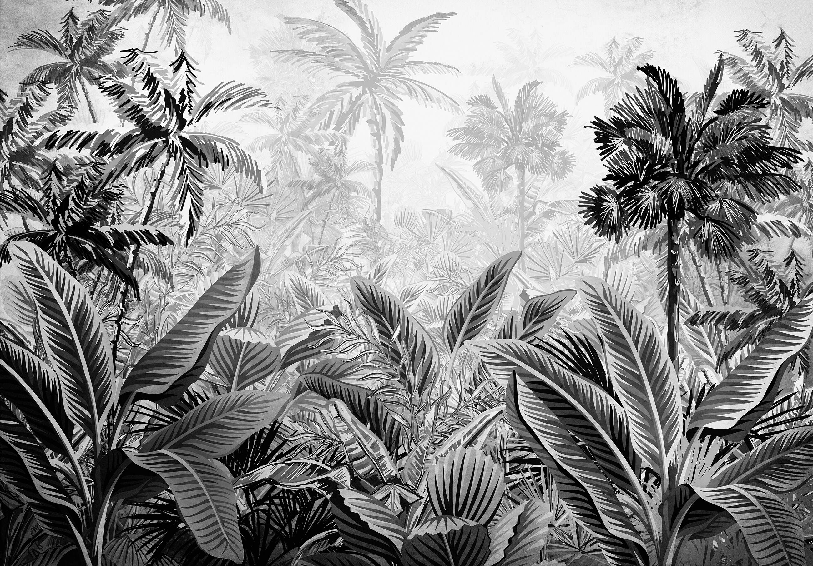 Papier Peint Panoramique Jungle Noir Et Blanc Papier Peint Intissé Panoramique Noir et blanc Jungle Forêt Nature