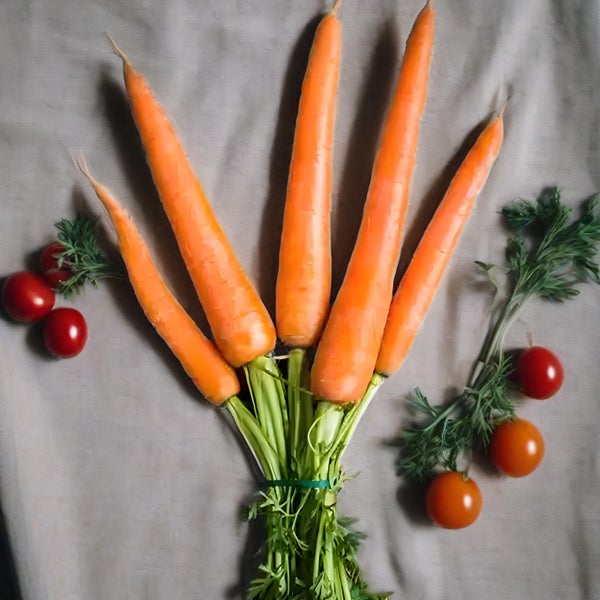 Carottes pour Pots Profonds - 200 Graines - Variété Naine pour Balcon et Terrasse - Culture Facile de Légumes - 2
