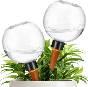 Boules D'arrosage Automatique Pour Plantes D'intérieur - Lot De 2, Capacité 500 Ml, En Plastique Et Céramique